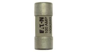 BUSSMANN 100A HOUSE SERVICE CUT OUT FUSE
