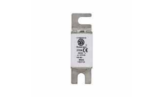Fuse size 00,1000V (IEC), 315A fuse