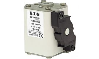 Fuse size 1,1000V (IEC), 315A fuse