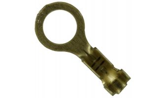 42036-2 Terminals RING IS 22-18 SZ 10 020BR
