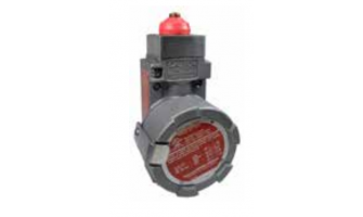 BX24C4L Snap Acting/Limit Switch DPDT Momentary 250VDC