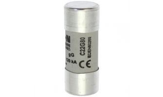 C22G80 FUSE CARTRIDGE 80A 500VAC