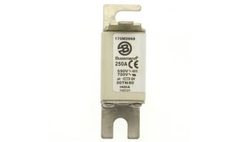 170M2668 FUSE 250A 690V 00TN/80 AR UR